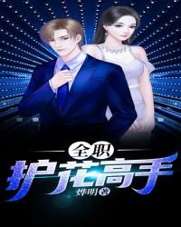 《全职护花高手》