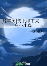 （综美英）天上掉下来只小小鸟