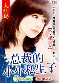 千亿继承人,总裁的小小私生子